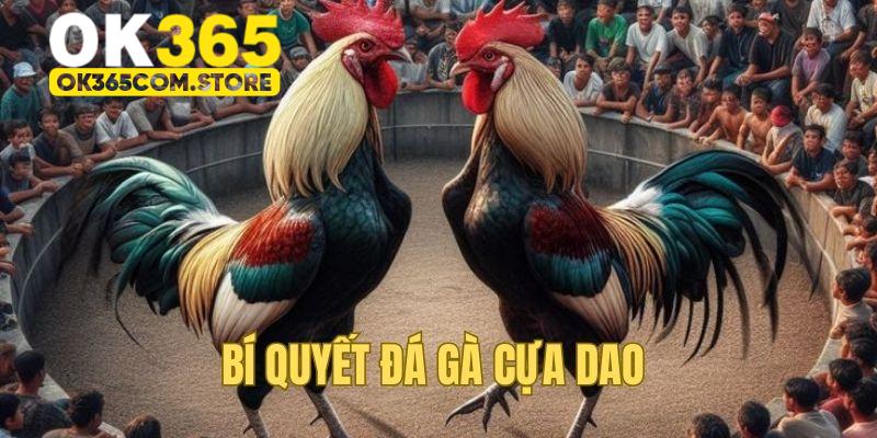 Bí quyết đánh giá và chọn chiến kê tốt Bí quyết đánh giá và chọn chiến kê tốt