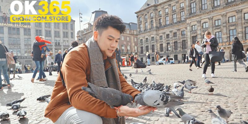 Thông tin cơ bản về tác giả Phạm Nam Hải OK365 Thông tin cơ bản về tác giả Phạm Nam Hải OK365
